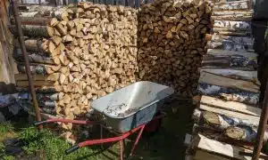 Chauffage au bois : cette essence de bois est plus performante que le chêne et coûte beaucoup moins cher