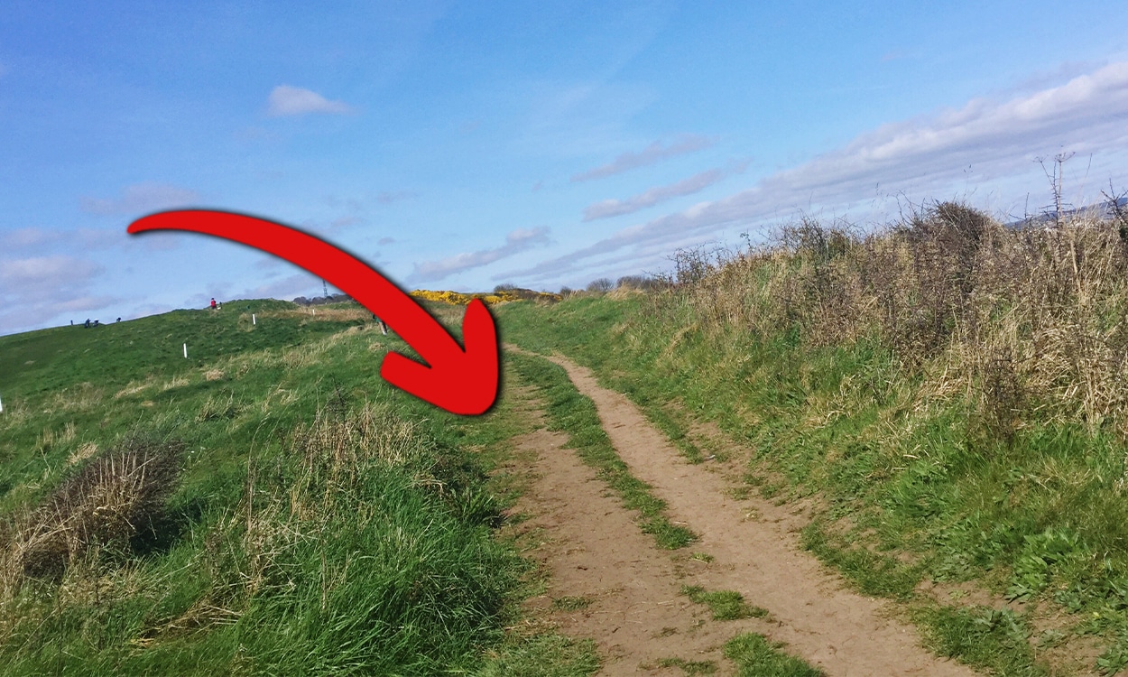 Ce vieux chemin traverse votre terrain mais personne ne l’utilise depuis plus de 30 ans ? Voici comment l’annuler légalement et récupérer 100% de votre propriété