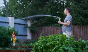 Sécheresse : « On m’interdit d’arroser mon jardin », le coup de gueule d’un propriétaire face aux restrictions préfectorales