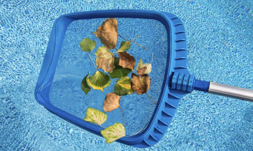 Ramassage de feuilles dans une piscine avec une épuisette