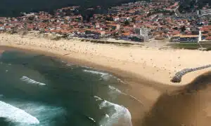 Landes : à Mimizan, le projet immobilier du Parc d’Hiver définitivement enterré