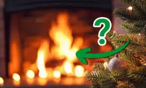 Chauffage au bois : pouvez-vous vraiment mettre votre sapin dans la cheminée ?