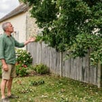 Propriétaire contrarié observant les branches de l'arbre du voisin qui débordent sur sa propriété